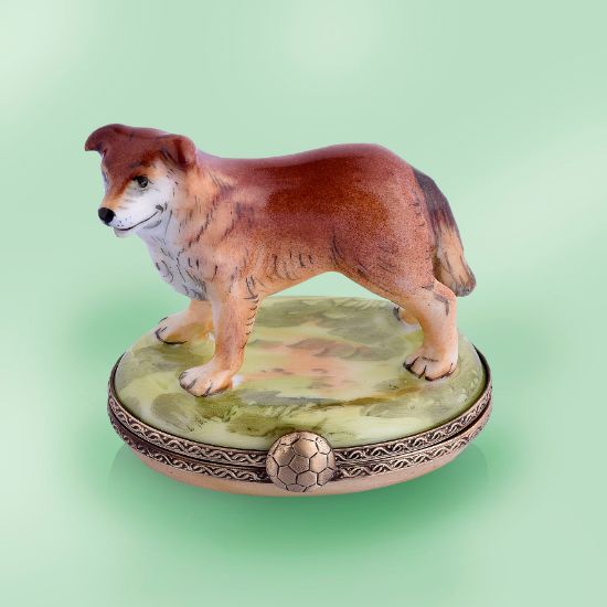 Picture of Limoges Brown Australian Shephard Box