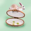 Picture of Limoges Rabbit on Springs Flowers Box