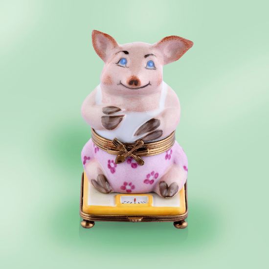 Picture of Limoges Pig on Scale Diet Box