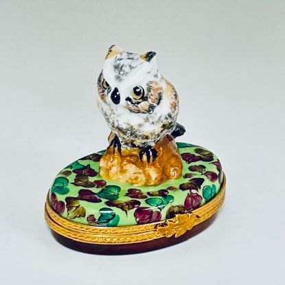 Picture of Limoges Brown Owl with Leaves Box