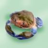 Picture of Limoges Blue Green Crab Box