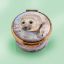 Picture of Baby Seal Enamel