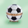 Picture of Limoges Soccer Box