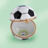 Picture of Limoges Soccer Box