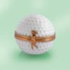 Picture of Limoges Golf Ball Box 