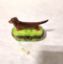 Picture of Limoges Brown Dachshund Box with Bone