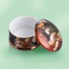 Picture of Cats Painting Porcelain Trinket Box