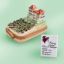 Picture of Limoges Mediterranean Villa Winery  Box