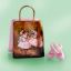 Picture of Limoges Ballerinas Painting Shopping Bag Box with Slippers