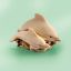 Picture of Dolphins British Trinket Box