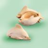 Picture of Dolphins British Trinket Box