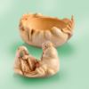 Picture of Walrus Couple British Trinket Box