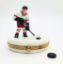 Picture of Limoges Red Ice Hockey Player Box
