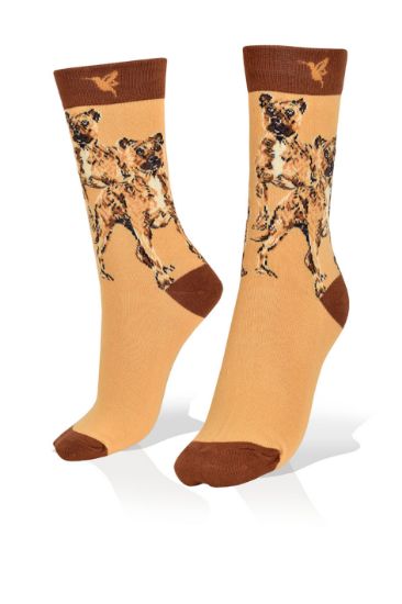Picture of Boxer Dogs Socks