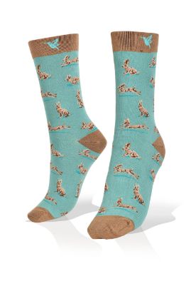 Picture of Rabbits on Blue Socks