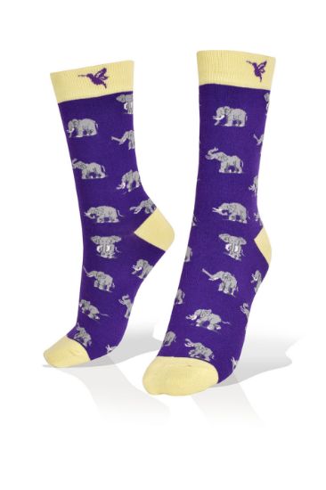 Picture of Elephants on Blue Socks