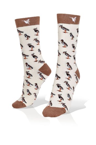 Picture of Tero Bird on White Socks
