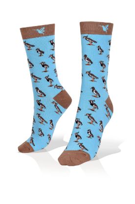 Picture of Tero Bird on Blue Socks