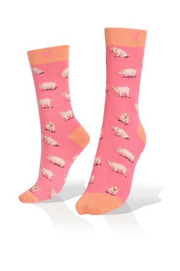 Picture of Pigs on Pink Socks