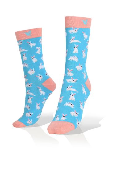 Picture of Rabbits on Blue Socks