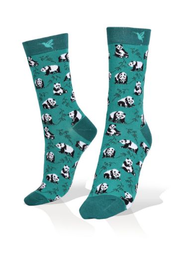 Picture of Panda Bear on Green Socks
