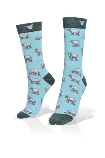 Picture of Lambs on Blue Socks