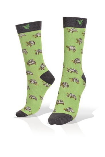 Picture of Turtles on Green Socks