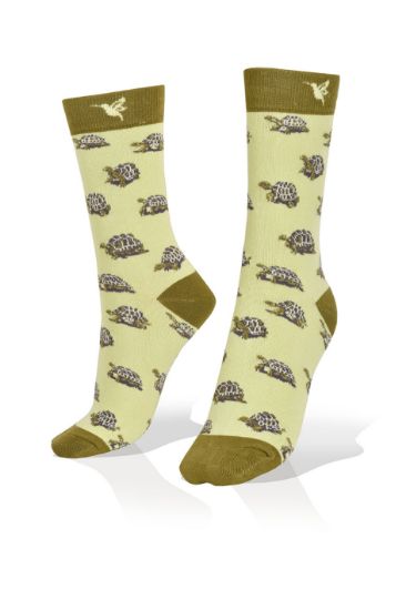 Picture of Turtles on the Sand Socks