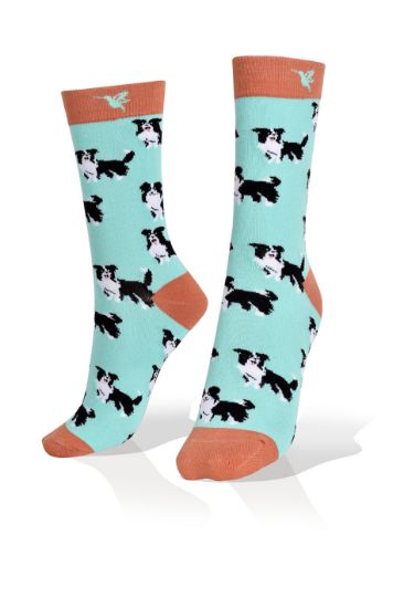Picture of Australian Shepherd Dogs Socks