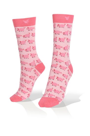 Picture of Curly Tal Pigs Socks