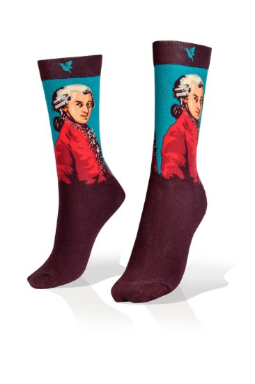 Picture of Mozart Socks