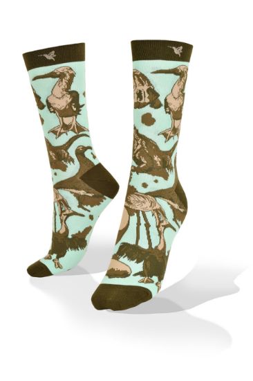 Picture of Galapagos  Socks