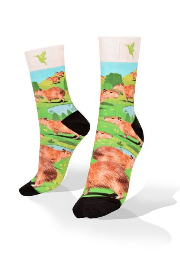 Picture of Carpincho Socks
