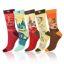 Picture of Countries Socks  Set of 5