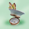 Picture of Butterfly on Green Leaf Box