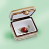 Picture of Limoges Le Jardin, The Garden Book box with Ladybug inside