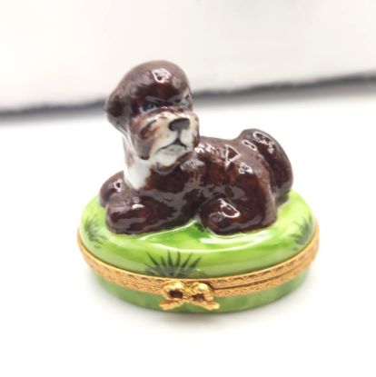 Picture of Limoges Bernese Doodle Dog Box 