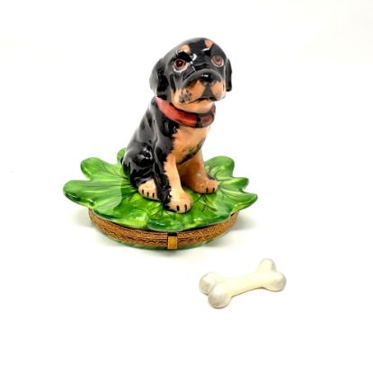 Picture of Limoges Rotweiler Puppy on Leaf Box with Bone