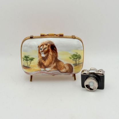 Picture of Limoges Lion Safari Suitcase Box with Camera